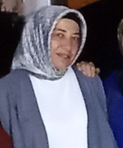 Bahar görmek