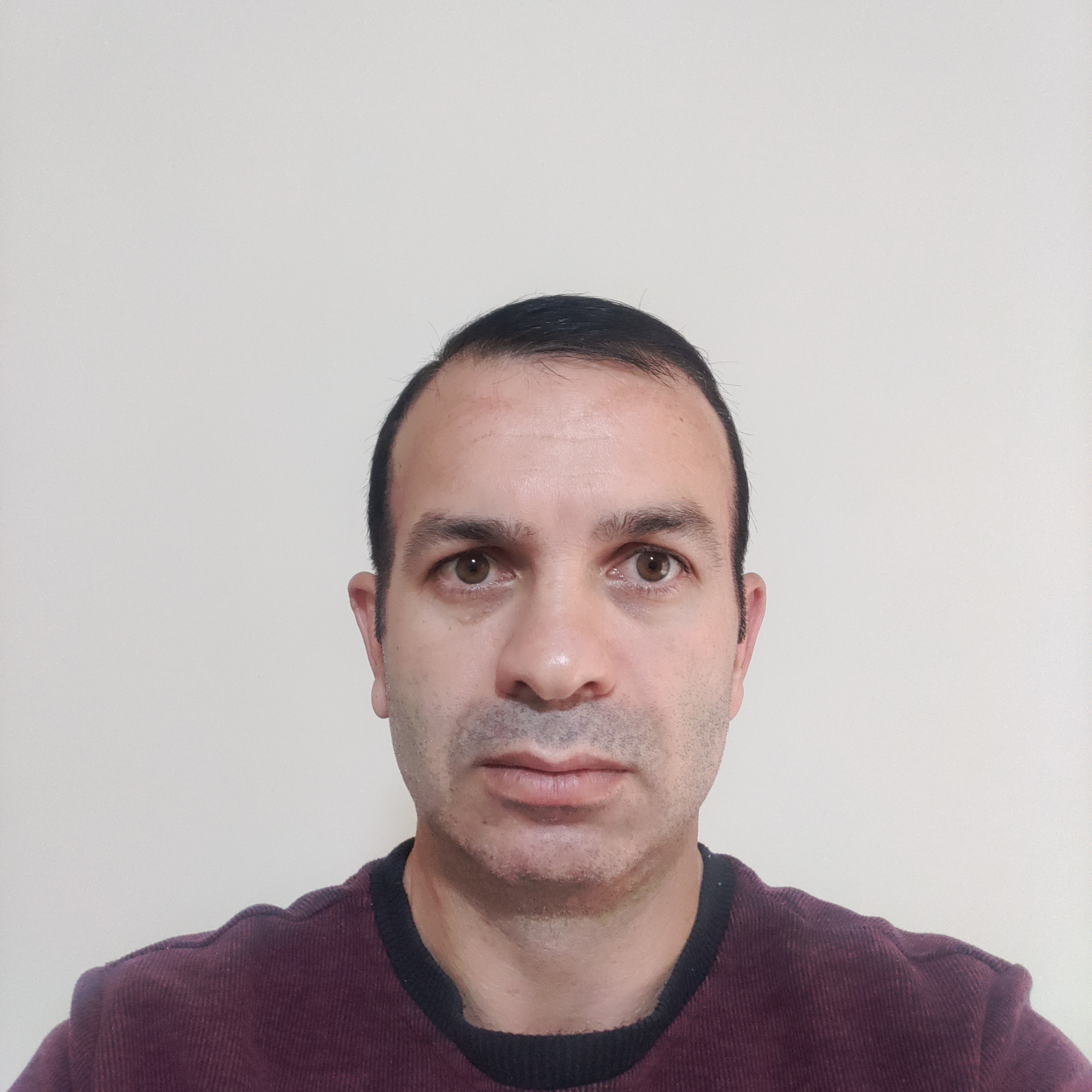 ahmet bal